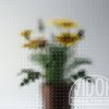 Fotografia produktowo - katalogowa